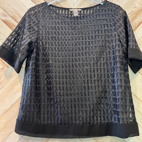 Banana Republic Women’s Mesh Square See Through Short Sleeve Top oversized boxy - Picture 1 of 5
